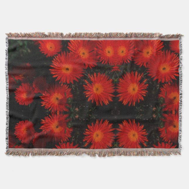 Südafrika Grüne Orangen Sukkulente Blume Decke (Vorderseite)