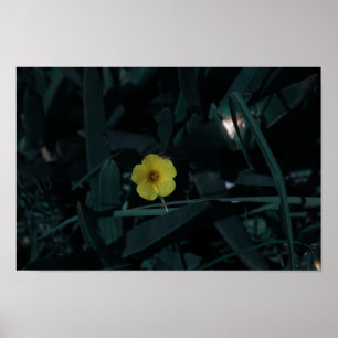 Südafrika Grüngelbe indigene Blume Poster