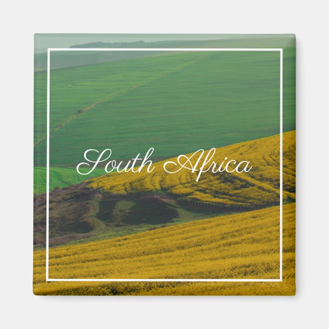 Südafrika Landschaft Canola Felder Magnet (Vorne)