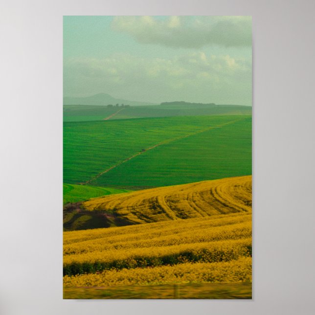 Südafrika Landschaft Canola Felder Poster (Vorne)