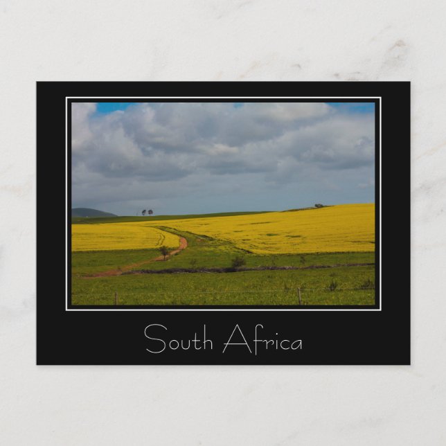 Südafrika Landschaft Landschaft Landschaft Landsch Postkarte (Vorderseite)