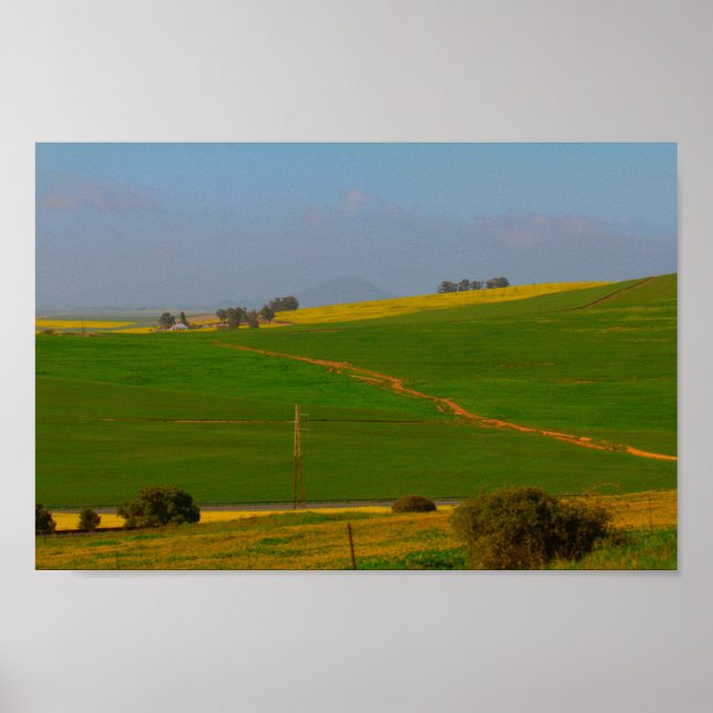 Südafrika Landschaftspflege Canola Fields Poster (Vorne)
