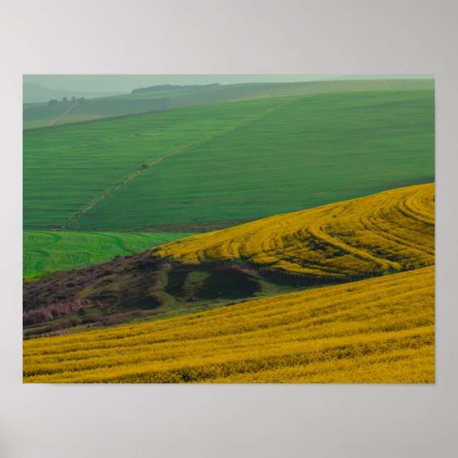 Südafrika Landschaftspflege Canola Fields Poster (Vorne)