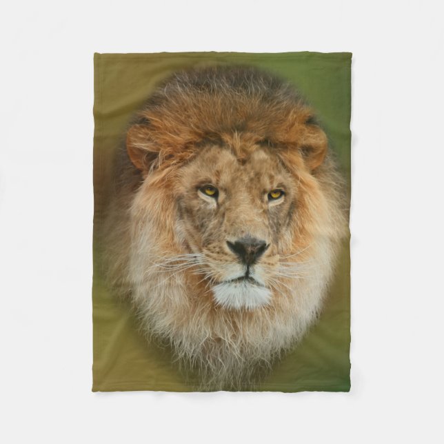 Südafrika Majestic Lion Nah Fleecedecke (Vorderseite)