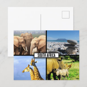 Südafrika NaturfotoCollage Postkarte