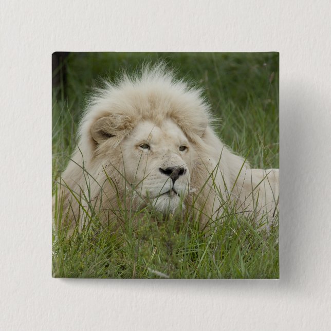 Südafrika, Ost-London, Inkahnwezi Private Button (Vorderseite)