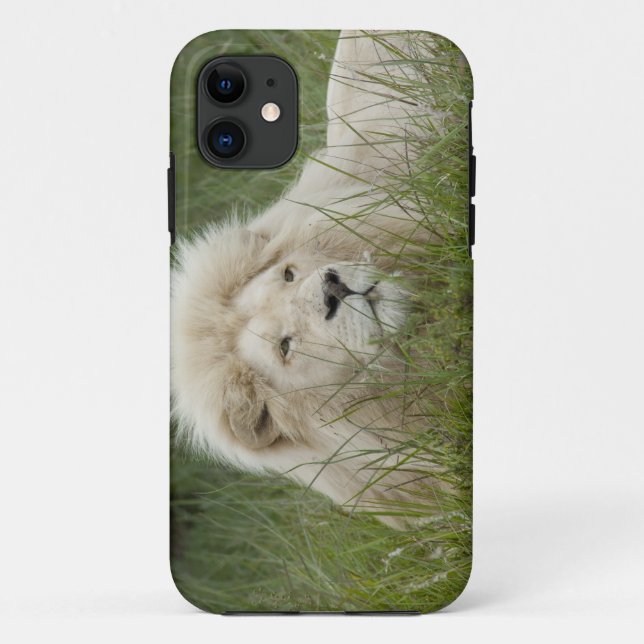 Südafrika, Ost-London, Inkahnwezi Private Case-Mate iPhone Hülle (Rückseite)