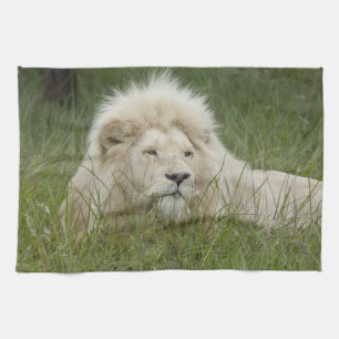 Südafrika, Ost-London, Inkahnwezi Private Küchentuch