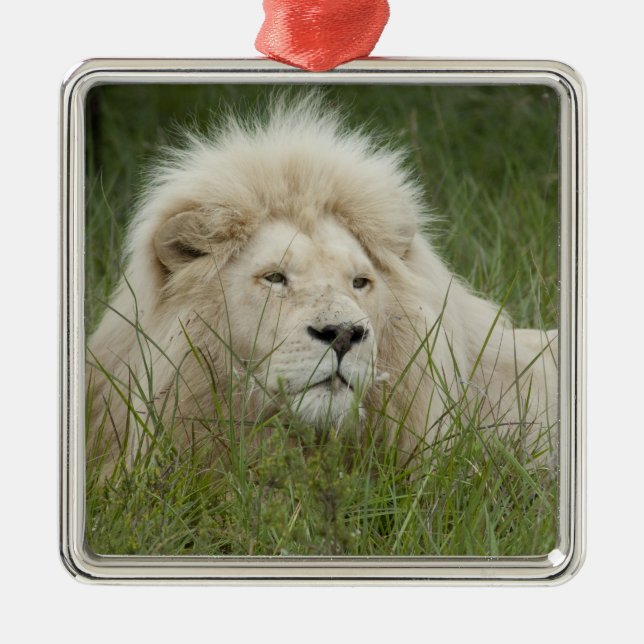 Südafrika, Ost-London, Inkahnwezi Private Silbernes Ornament (Vorne)