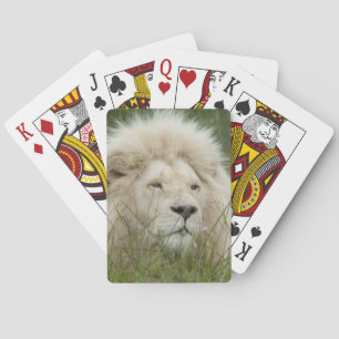 Südafrika, Ost-London, Inkahnwezi Private Spielkarten