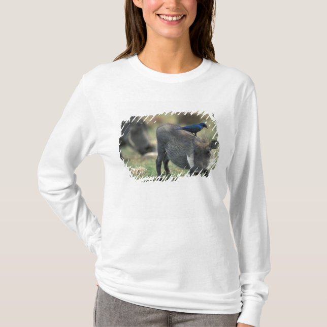Südafrika, Pilanesburg GR, Warthog T-Shirt (Vorderseite)