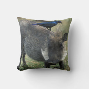 Südafrika, Pilanesburg GR, Warzenschwein Kissen