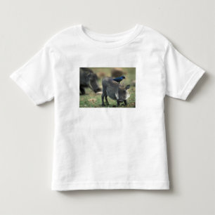 Südafrika, Pilanesburg GR, Warzenschwein Kleinkind T-shirt