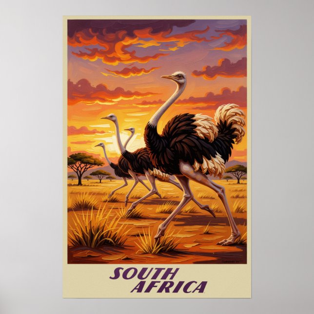 Südafrika-Plakat Poster (Vorne)
