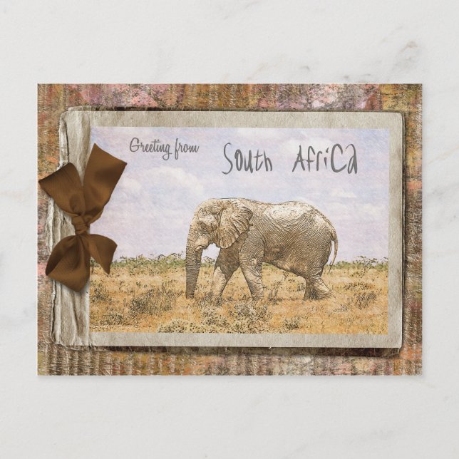 Südafrika Postkarte (Vorderseite)