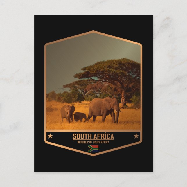 Südafrika Postkarte (Vorderseite)
