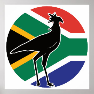 Südafrika Sekretär für Vögel Afrikas Poster