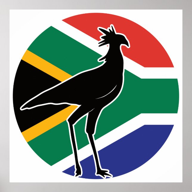 Südafrika Sekretär für Vögel Afrikas Poster (Vorne)