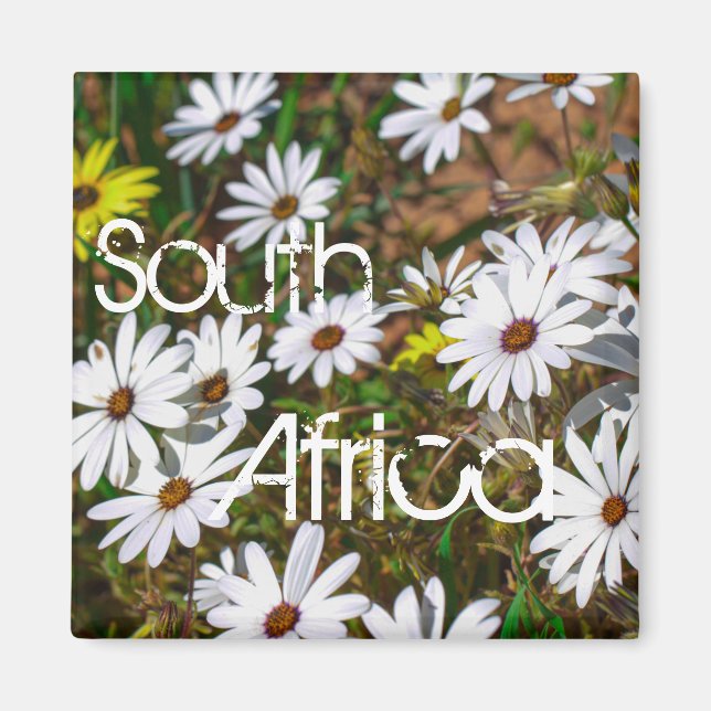 Südafrika Velddrif Westküste Wilde Blume Magnet (Vorne)