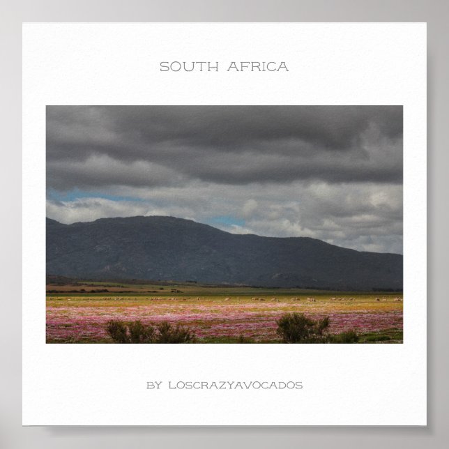 Südafrika Wilde Blume Landscape Travel Poster (Vorne)