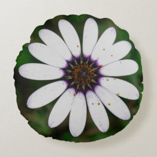 Südafrika Wilde Namaqualand Blume Petals Rundes Kissen