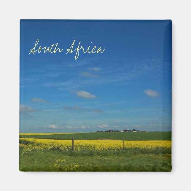 Südafrika ZA Canola Field Landschaftsbild Magnet (Vorne)