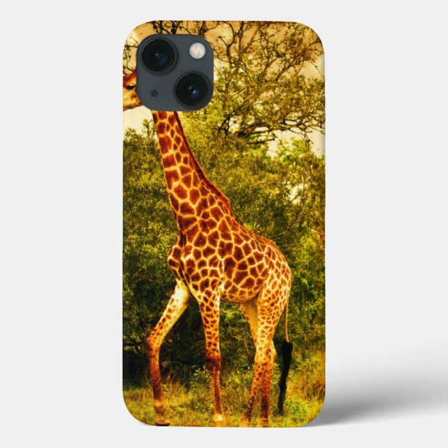 Südafrikanische Giraffen Case-Mate iPhone Hülle (Rückseite)