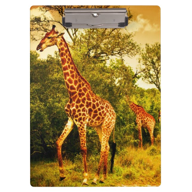Südafrikanische Giraffen Klemmbrett (Vorderseite)