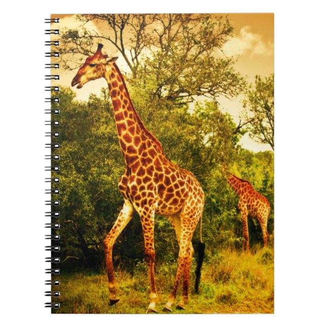 Südafrikanische Giraffen Notizblock (Vorderseite)
