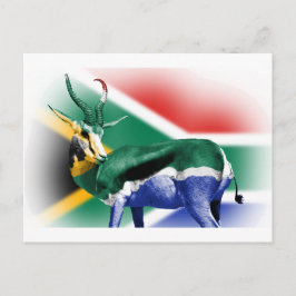 Südafrikanische Springbock-Flagge Postkarte
