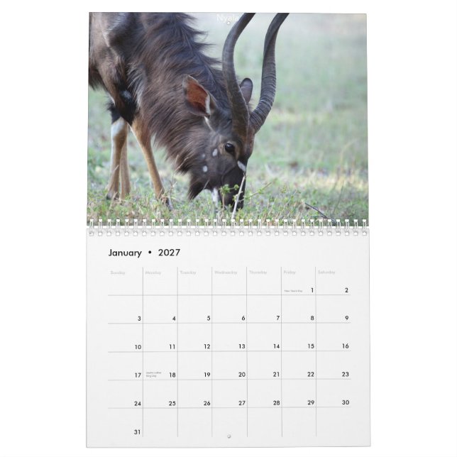 Südafrikanische Tiere Kalender (Jan 2027)