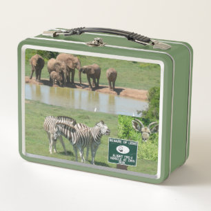Südafrikanische Zebras und Löwen-Lunchbox Metall Brotdose