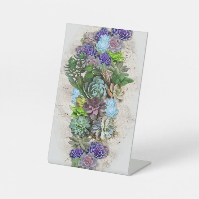 Südafrikas Sukkulente Sockelschild (Vorderseite)