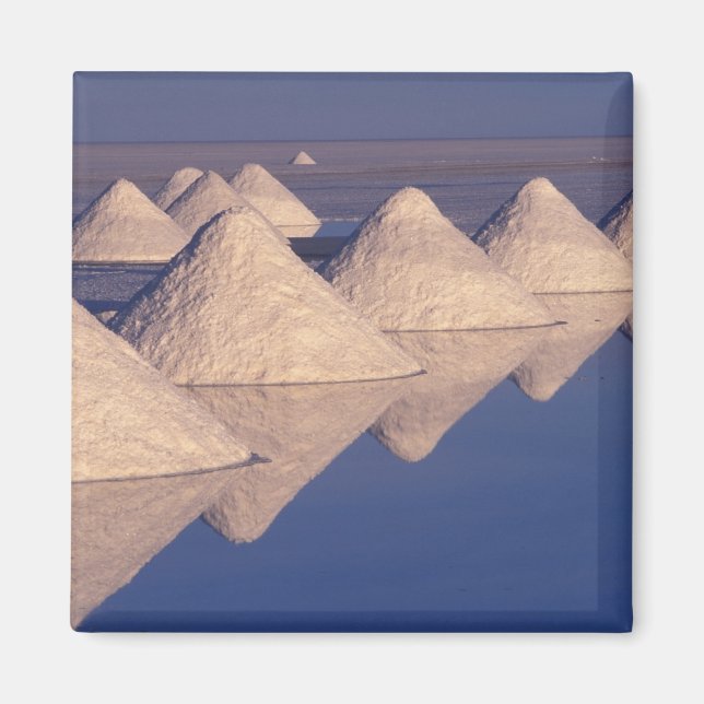 Südamerika, Bolivien. Salar de Uyuni Magnet (Vorne)