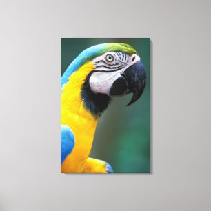 Südamerika, Brasilien, Iguacu Nationalpark, Leinwanddruck