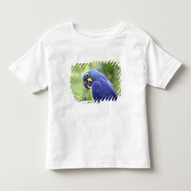 Südamerika, Brasilien, Pantanal Kleinkind T-shirt (Vorderseite)