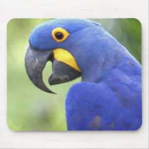 Südamerika, Brasilien, Pantanal Mousepad