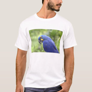 Südamerika, Brasilien, Pantanal T-Shirt