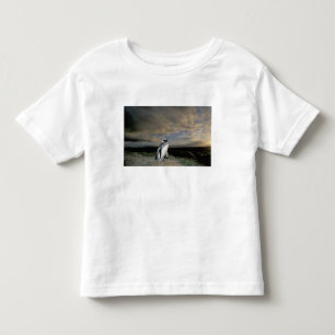 Südamerika, Chile, Patagonia, Magellanes, Kleinkind T-shirt