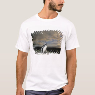 Südamerika, Chile, Patagonia, Magellanes, T-Shirt