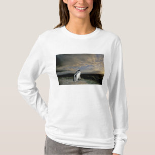 Südamerika, Chile, Patagonia, Magellanes, T-Shirt
