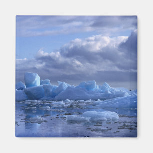 Südamerika, Chile, San Rafael Lagoon NP. Magnet
