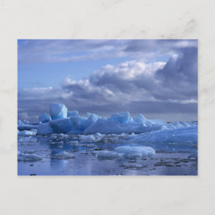 Südamerika, Chile, San Rafael Lagoon NP. Postkarte