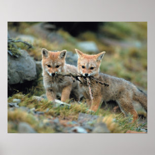 Südamerika, Chile, Torres del Paine National Poster