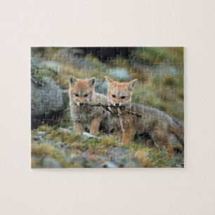 Südamerika, Chile, Torres del Paine National Puzzle