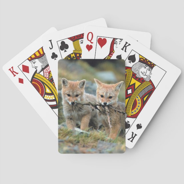 Südamerika, Chile, Torres del Paine National Spielkarten (Rückseite)