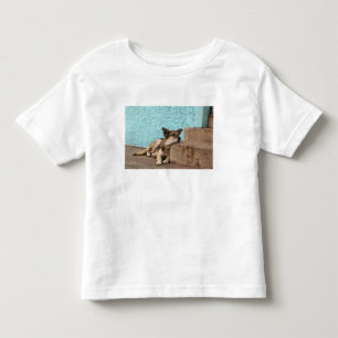 Südamerika, Chile, Valparaiso. Deutsch Kleinkind T-shirt