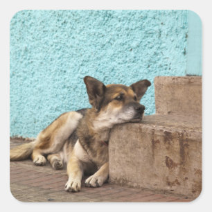 Südamerika, Chile, Valparaiso. Deutsch Quadratischer Aufkleber