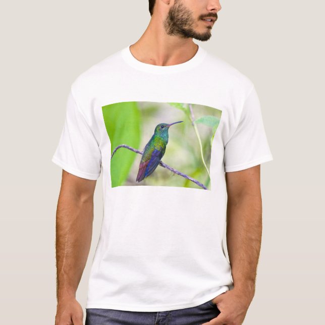 Südamerika, Costa Rica, Sarapiqui, La Selva T-Shirt (Vorderseite)