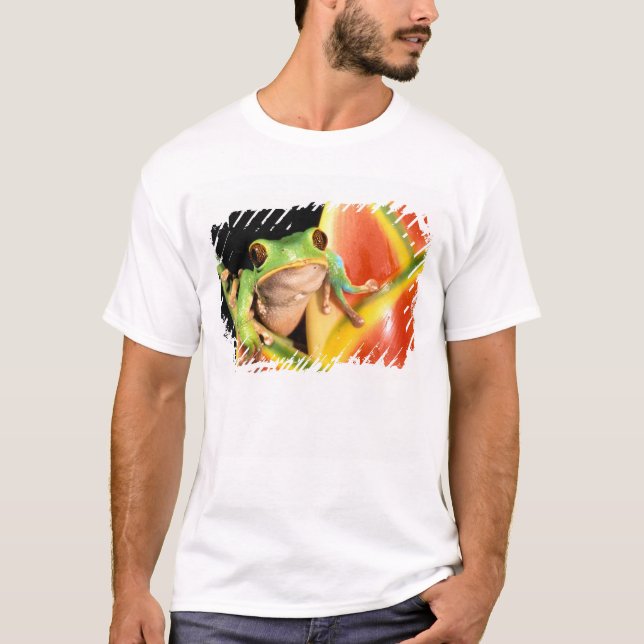 Südamerika, Ecuador, Amazonas. Blattgrün T-Shirt (Vorderseite)